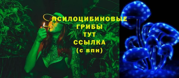 бутират Богородицк