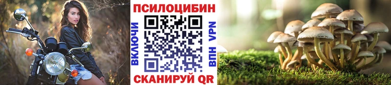 кракен   где купить   Балабаново  Галлюциногенные грибы Cubensis 